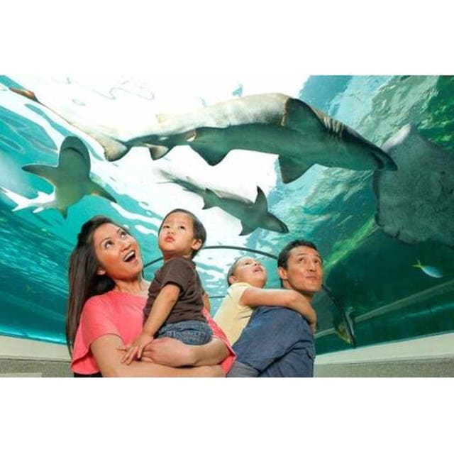 호주 시드니 SEA LIFE 시드니 아쿠아리움