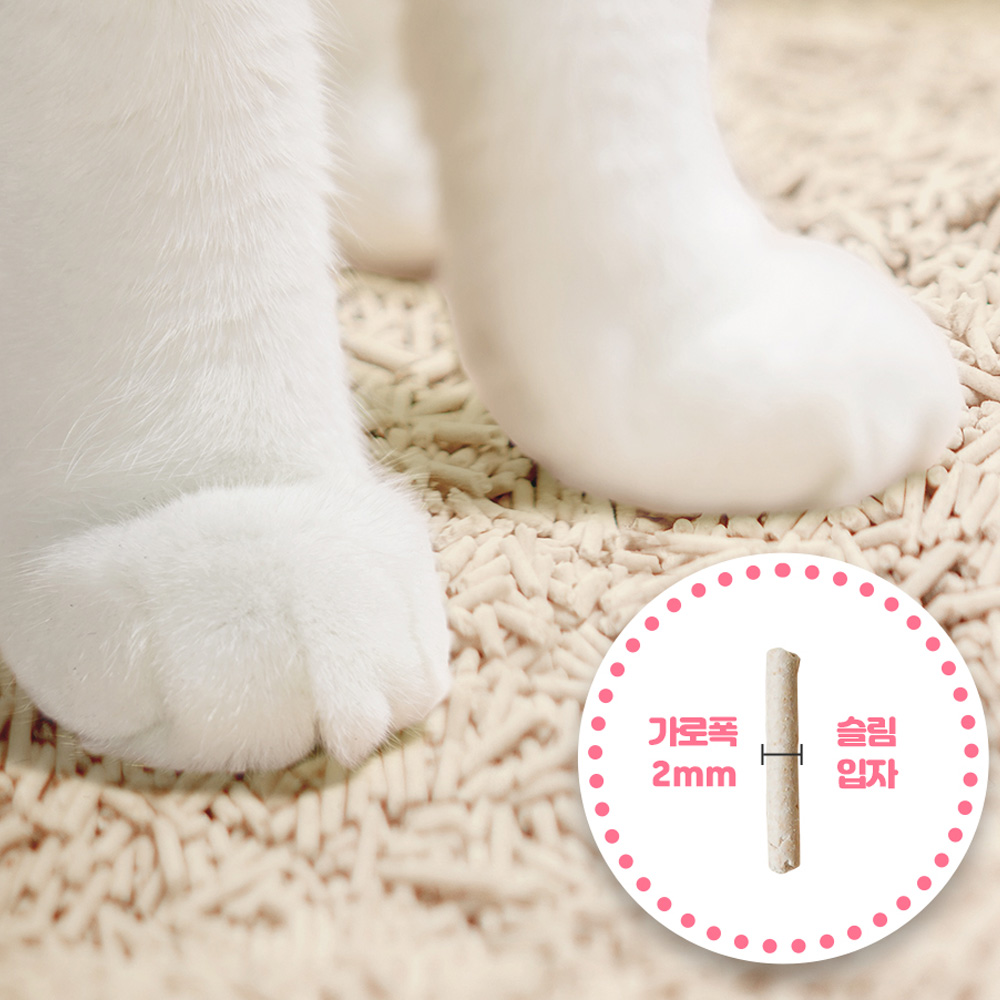베르디캣 오도어프리 고양이 두부모래 가는입자 오리지널, 2.8kg, 6개 - 상세 이미지 3