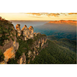 호주 시드니: 블루마운틴 선셋, 부시워크 & 야생 투어 솔직 후기 | 실사용자 리뷰 분석 - 상품 이미지 2