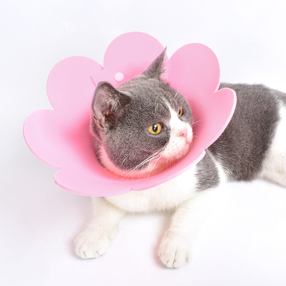 나마스펫 강아지 넥카라 고양이 깔대기 초경량 EVA 중성화 애견 목카라