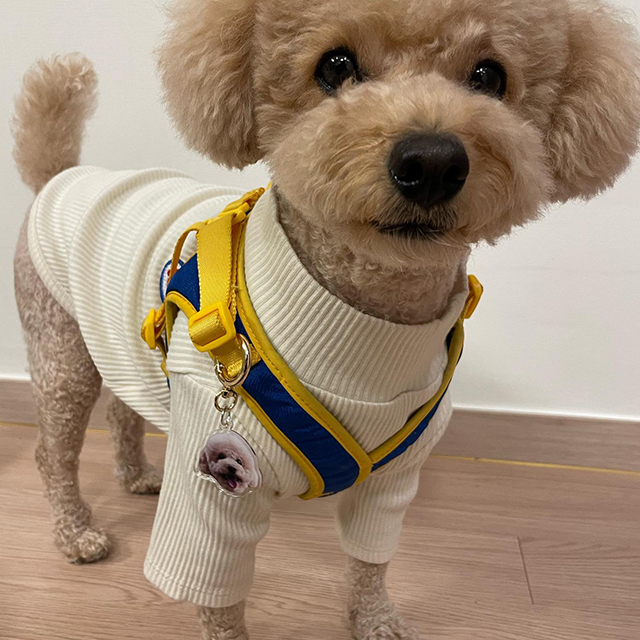 포토 인식표 제작 커스텀 강아지 고양이 반려견 반려묘 목걸이 펜던트 네임 SS 이미지 6