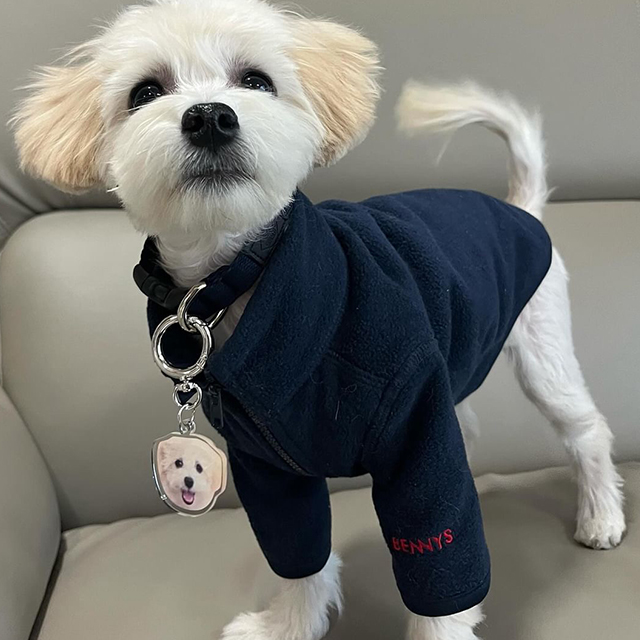 포토 인식표 제작 커스텀 강아지 고양이 반려견 반려묘 목걸이 펜던트 네임 SS - 상세 이미지 5