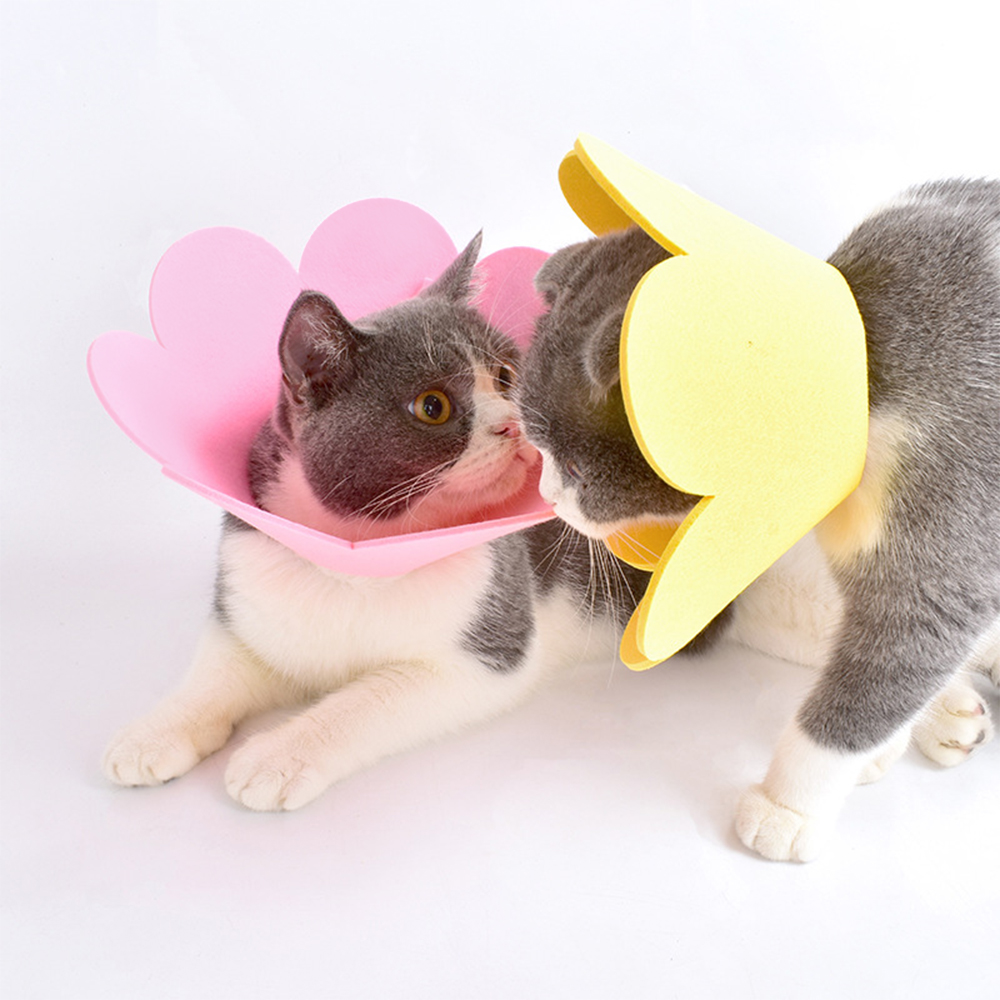 나마스펫 강아지 넥카라 고양이 깔대기 초경량 EVA 중성화 애견 목카라