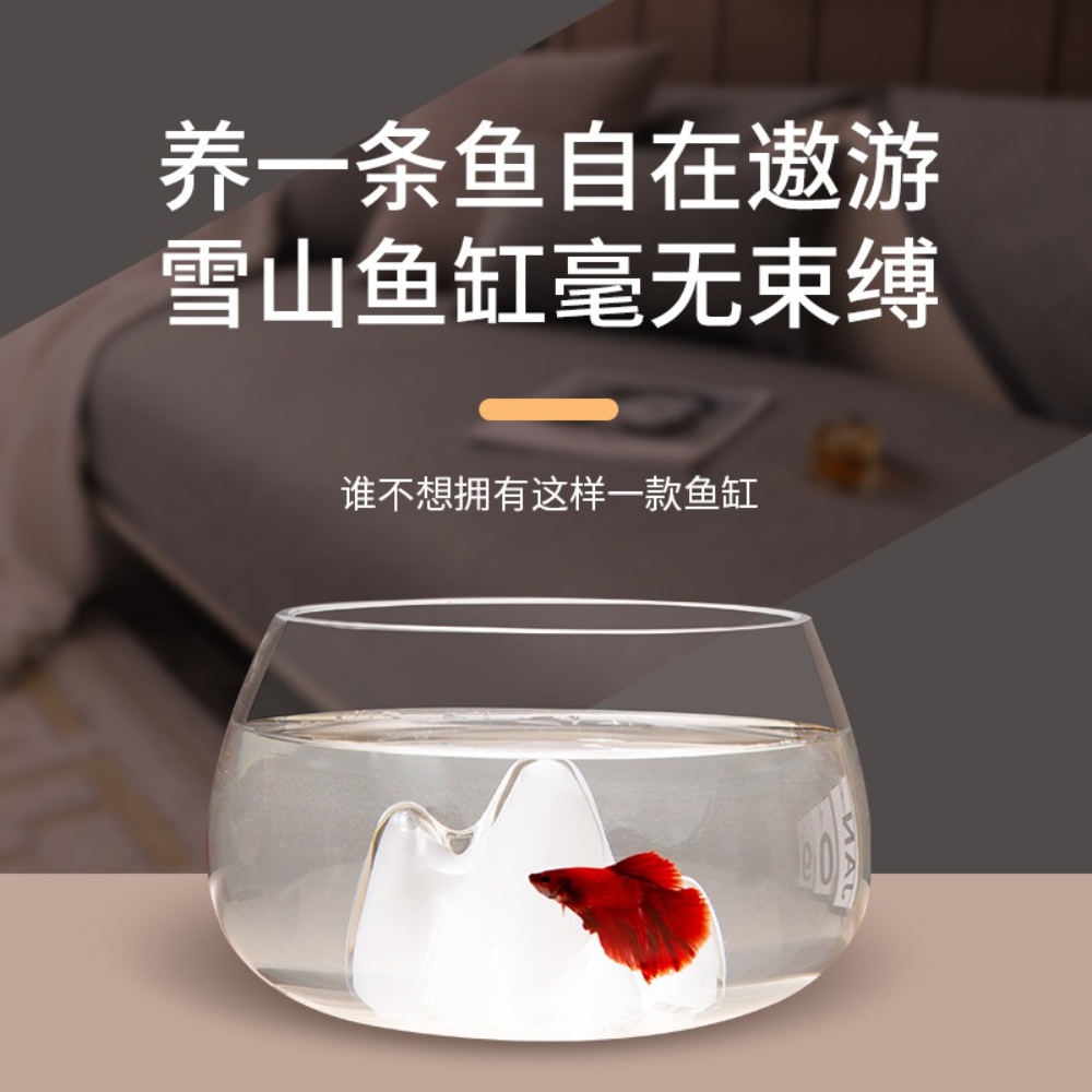 인테리어어항 인테리어 가정용 거실 실내 금붕어 수족관 미니 소품 상품 이미지