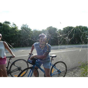 호주 시드니 숨막히는 맨리 비치 자전거 및 선셋 크루즈 투어 솔직 후기 | 실사용자 리뷰 분석 - 상품 이미지 3