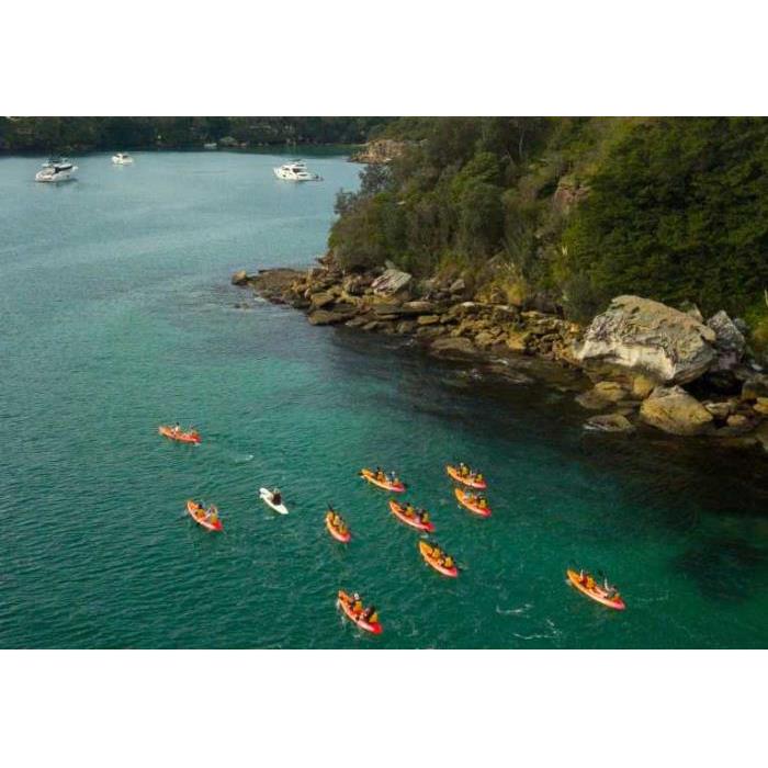 호주 시드니 맨리: 노스 하버 가이드 카약 투어 & 리프 비치 이미지 4