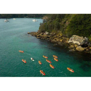 호주 시드니 맨리: 노스 하버 가이드 카약 투어 & 리프 비치 솔직 후기 | 실사용자 리뷰 분석 - 상품 이미지 4