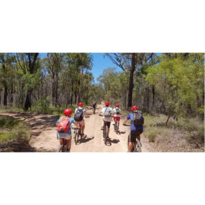 호주 시드니 블루마운틴 출발: 산악 전기 자전거 타기, 행잉록 솔직 후기 | 실사용자 리뷰 분석 - 상품 이미지 3