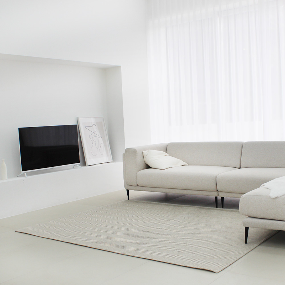 사이잘룩 자카드 러그 카페트 150x200 대형 단모 헤링본 사계절 먼지없는 거실 러그