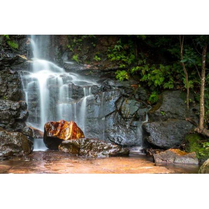 호주 시드니: 디럭스 프라이빗 데이 투어 블루마운틴 하이라이트 이미지 4