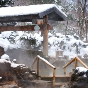 [프리미엄 소규모 투어] 일본 북해도 삿포로 일일 버스 투어(한국인가이드... 솔직 후기 | 실사용자 리뷰 분석 - 상품 이미지 1