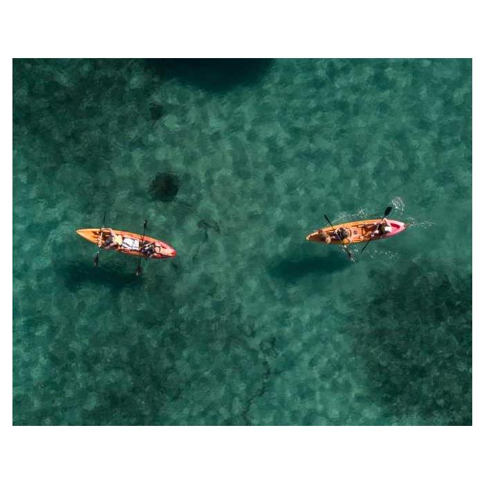 호주 시드니 맨리: 노스 하버 가이드 카약 투어 & 리프 비치 이미지 3