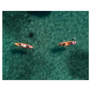 호주 시드니 맨리: 노스 하버 가이드 카약 투어 & 리프 비치 솔직 후기 | 실사용자 리뷰 분석 - 상품 이미지 3