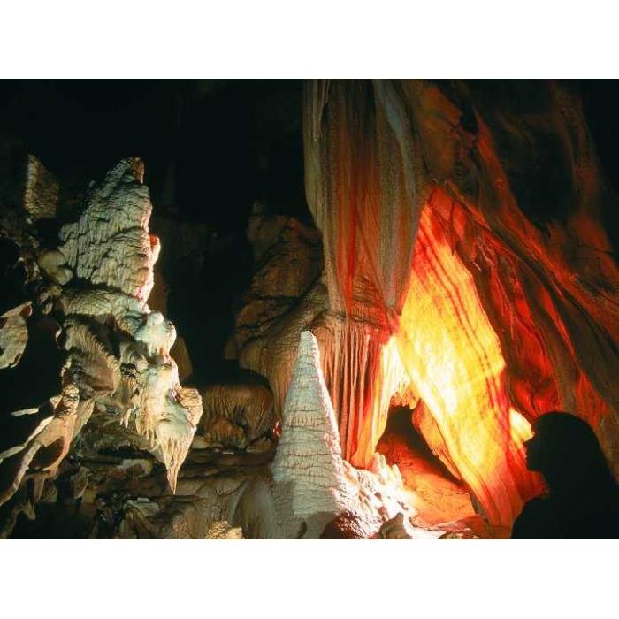 호주 아이벤처 시드니 어트랙션 플렉시 패스 이미지 2