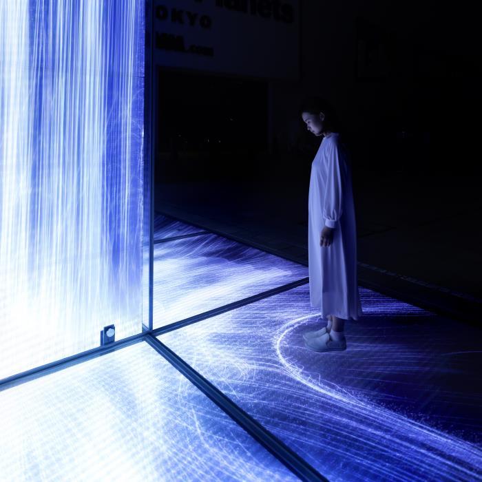 일본 도쿄 팀랩 플래닛 teamLab Planets TOKYO 이미지 2