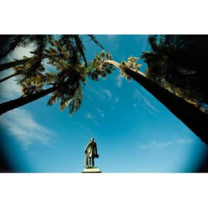 호주 시드니에서 2.5시간 디지털 사진 워크숍 솔직 후기 | 실사용자 리뷰 분석 - 상품 이미지 1