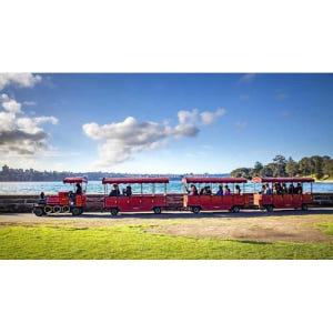 호주 시드니: 왕립 식물원 스마트폰 보물찾기 솔직 후기 | 실사용자 리뷰 분석 - 상품 이미지 2