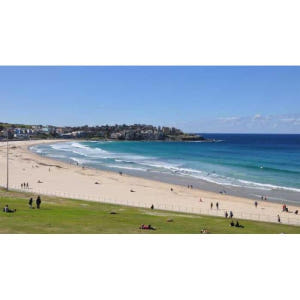 호주 시드니: 프라이빗 반나절 관광 투어 솔직 후기 | 실사용자 리뷰 분석 - 상품 이미지 4