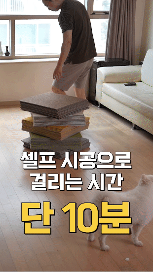 세븐펫 강아지 미끄럼방지 매트 타일 도톰카페트 50x50cm 1박스(16장) 판매처 상세 정보 이미지 3