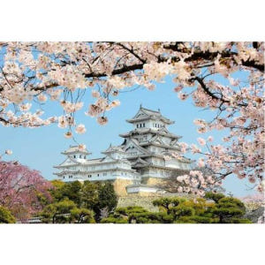 일본 간사이 히메지 : 라이센스 가이드가있는 개인 맞춤형 투어 솔직 후기 | 실사용자 리뷰 분석 - 상품 이미지 1