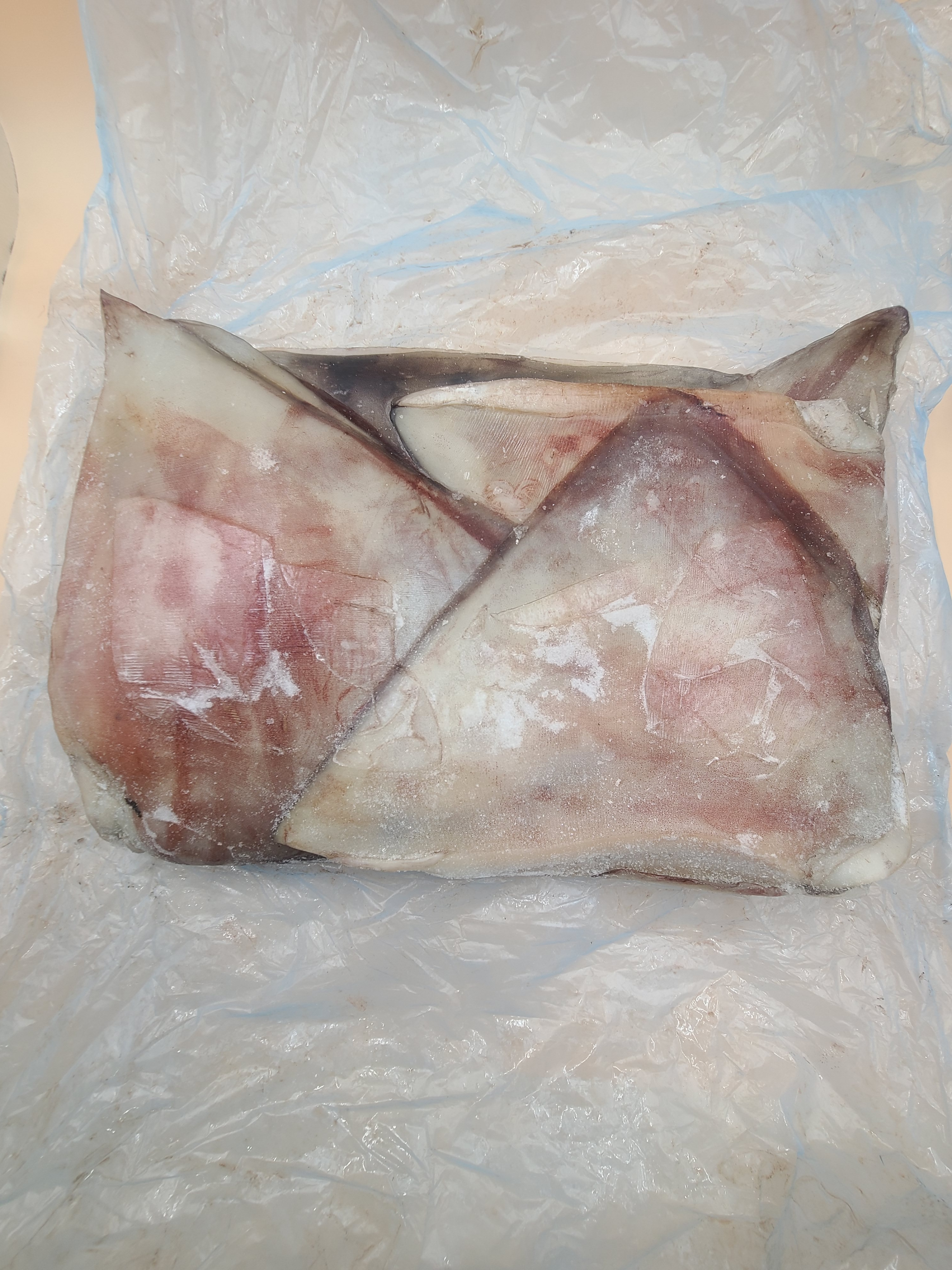 대왕오징어(무라사키) 귀 날개 지느러미 20KG 칠레 페루 여량 5%