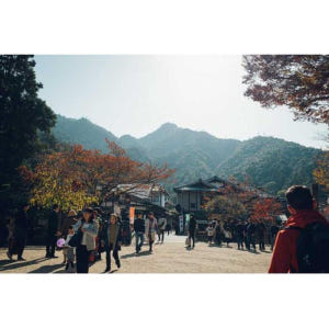 일본 히로시마 개인 반나절 미야지마 투어 솔직 후기 | 실사용자 리뷰 분석 - 상품 이미지 3