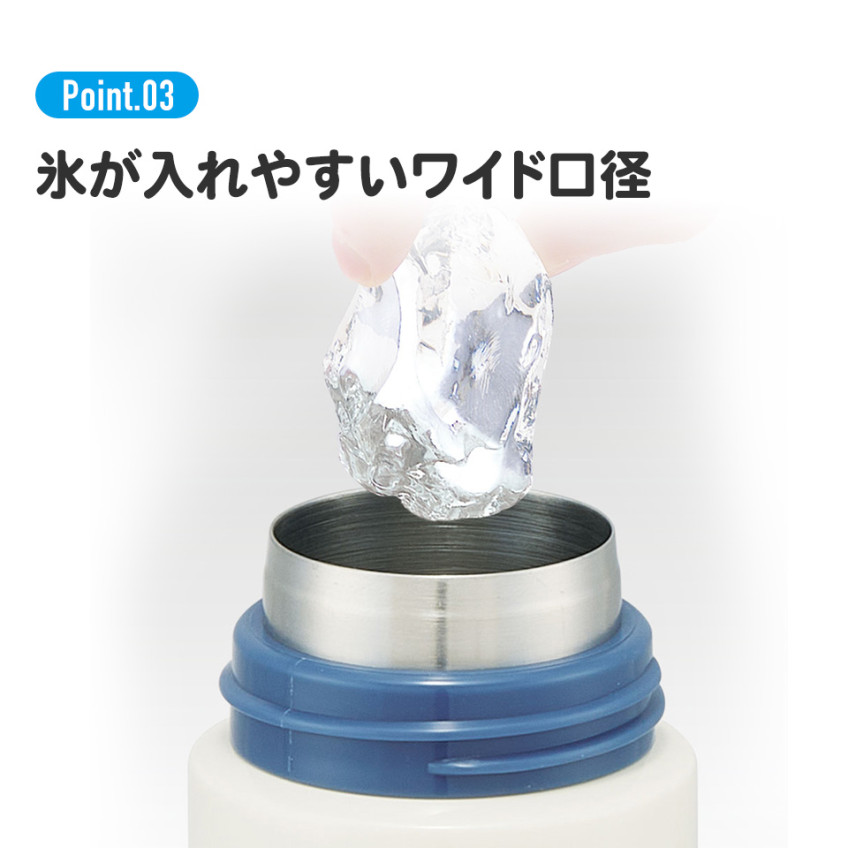 스케이터 지브리 이웃집 토토로 딸기나무 캐릭터 원푸쉬 스테인리스 보틀 500ml SDPC5 - 주방·식기 - 하카타몰