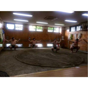 일본 도쿄 스모 아침 훈련 방문 솔직 후기 | 실사용자 리뷰 분석 - 상품 이미지 3