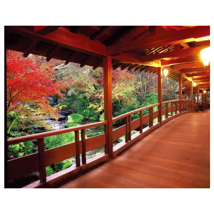 일본 간사이 히메지 : 라이센스 가이드가있는 개인 맞춤형 투어 이미지 2