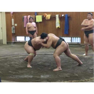 일본 도쿄 스모 아침 훈련 방문 솔직 후기 | 실사용자 리뷰 분석 - 상품 이미지 1