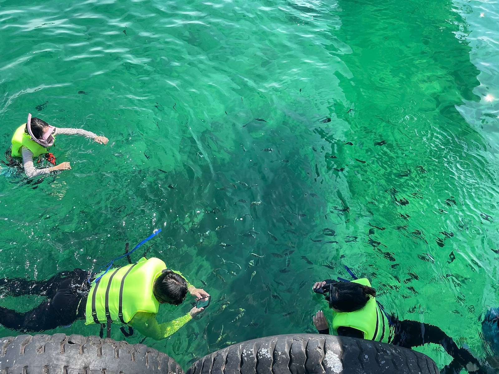 푸꾸옥 호핑투어 보물섬 스노쿨링 한국인 전용 오전 반나절 투어 액티비티 스피드보트 픽업 샌딩