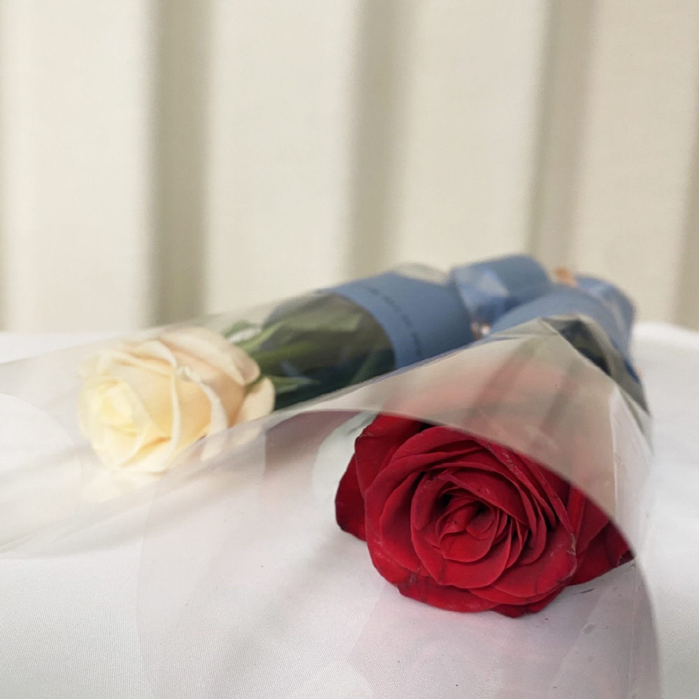 생화 꽃 한송이 카네이션 장미 칠순 돌 답례품 선물 이미지 2