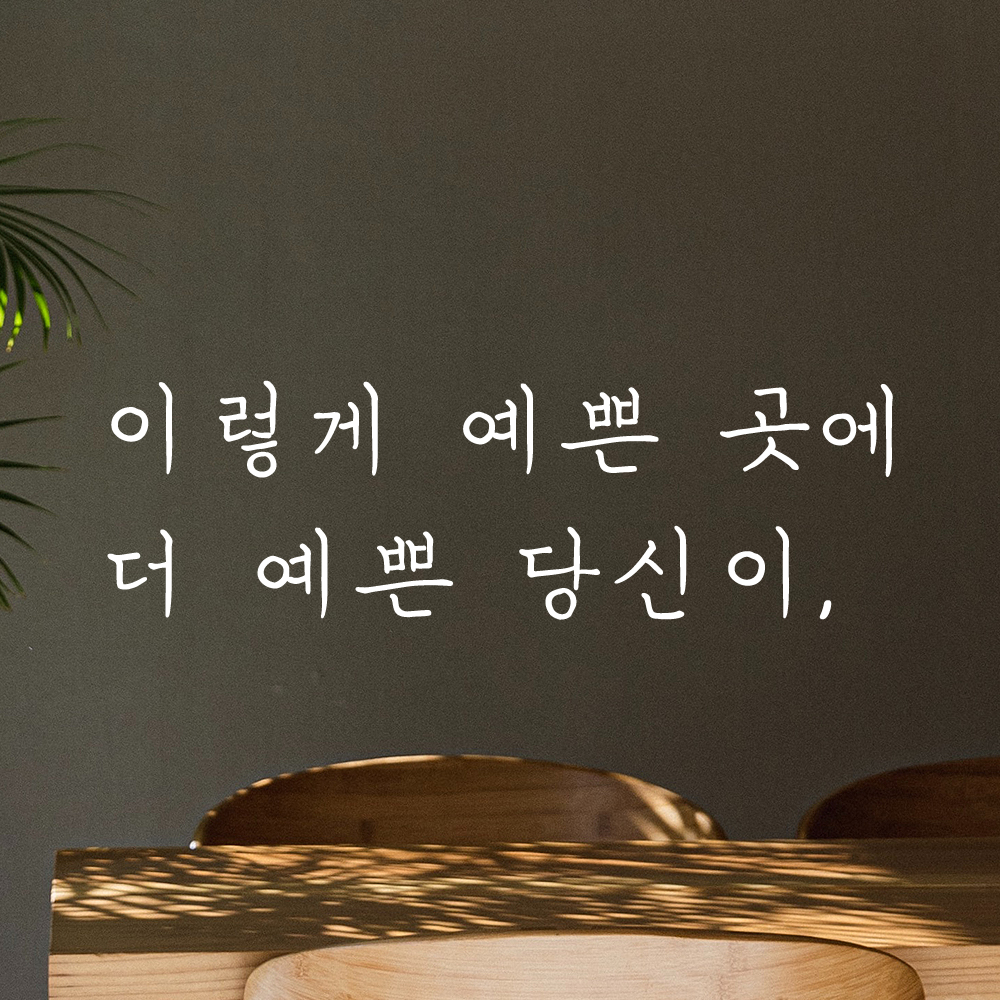 손글씨 레터링 스티커 이렇게 예쁜 곳에 더 예쁜 당신이 LH-047S검정 - 상세 이미지 4