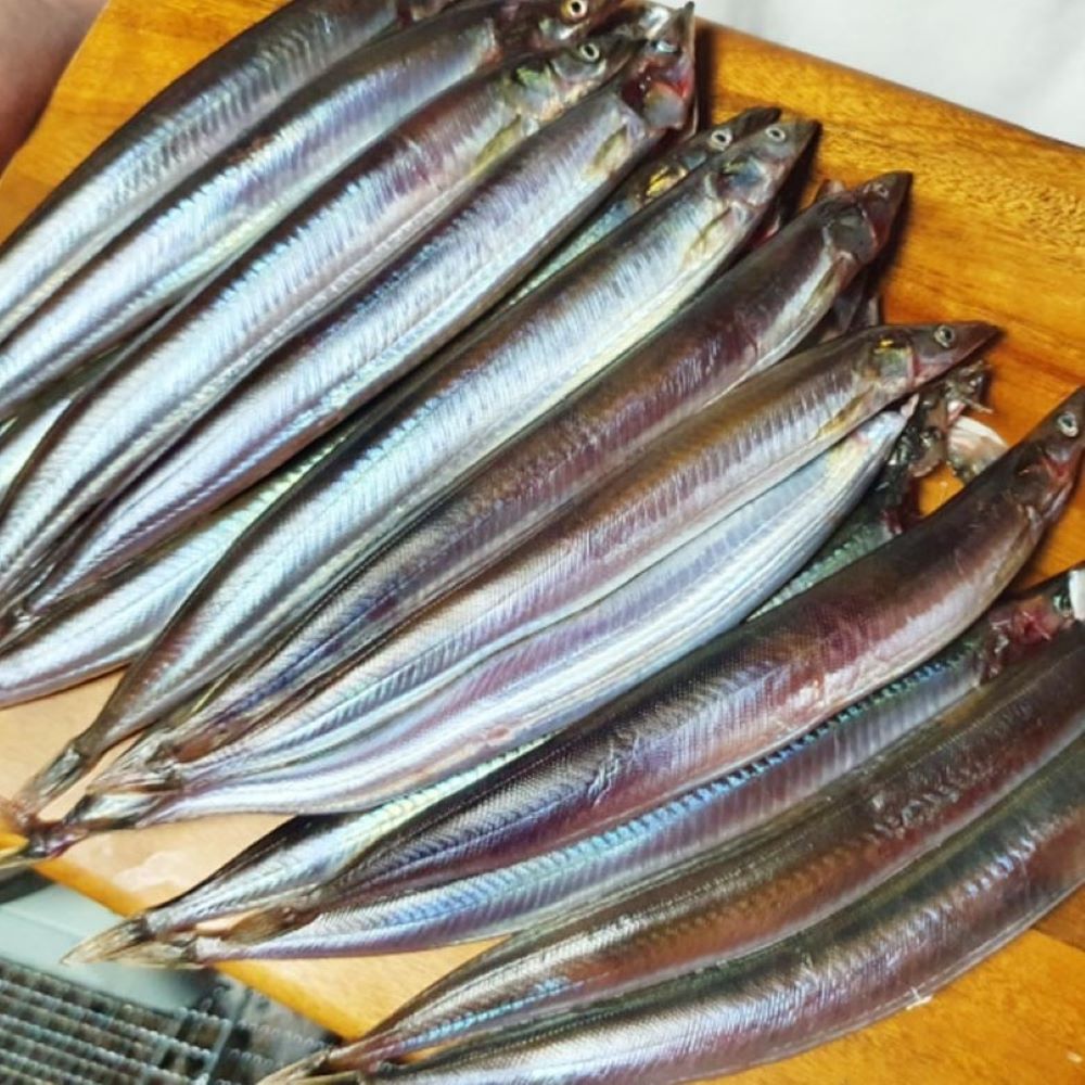 양미리 도루묵 제철 강원도 반건조 생양미리 구이 1kg - 상세 이미지 2