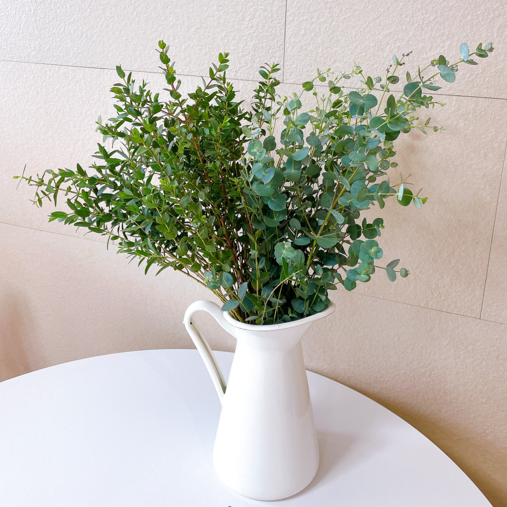 유칼립투스 반단 블랙잭 구니 파블로 초록 그린 소재 생화 배송 택배 배달 싼곳 양재꽃시장