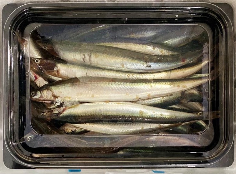양미리 도루묵 제철 강원도 반건조 생양미리 구이 1kg - 상세 이미지 3