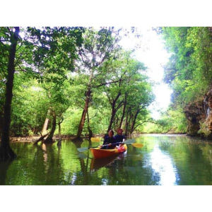 일본 오키나와 이시가키 섬: 푸른 동굴에서 SUP/카약 및 스노클링 솔직 후기 | 실사용자 리뷰 분석 - 상품 이미지 3