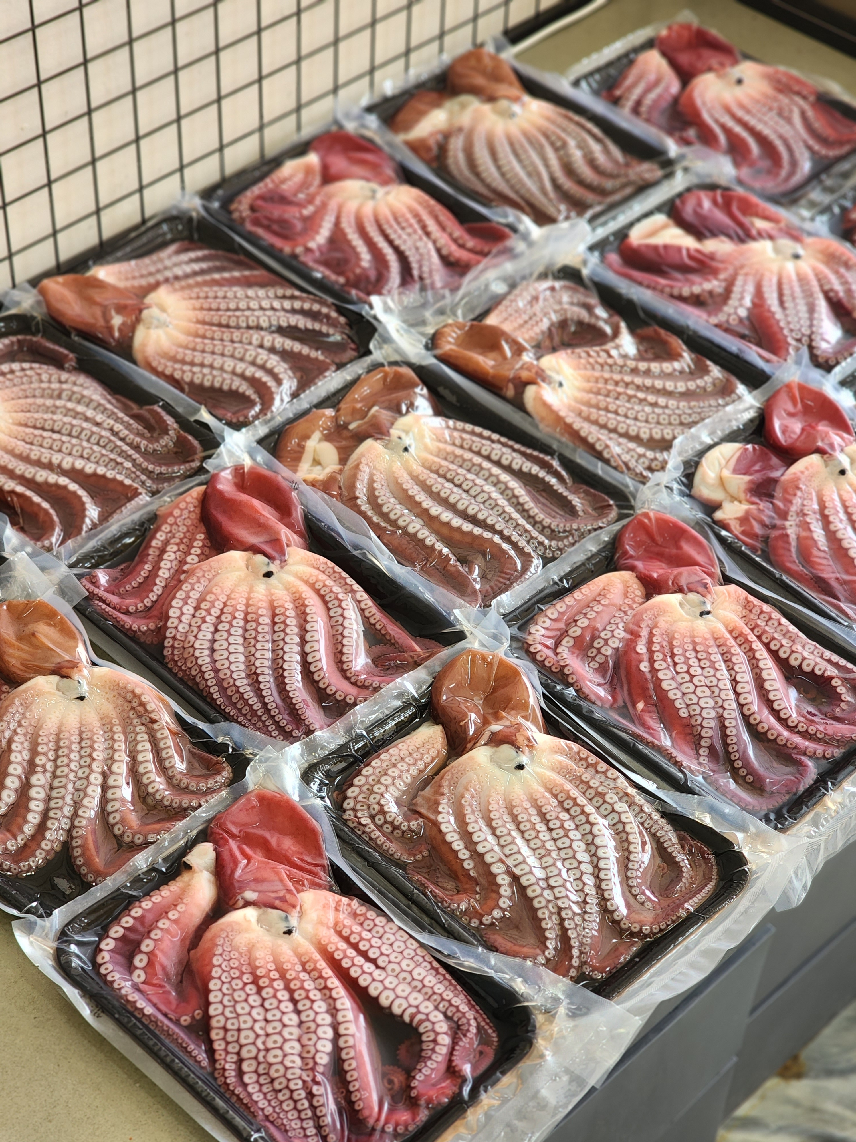 동해 삼척 피문어 도시락 대문어 숙회 자숙 문어 1kg - 상세 이미지 2