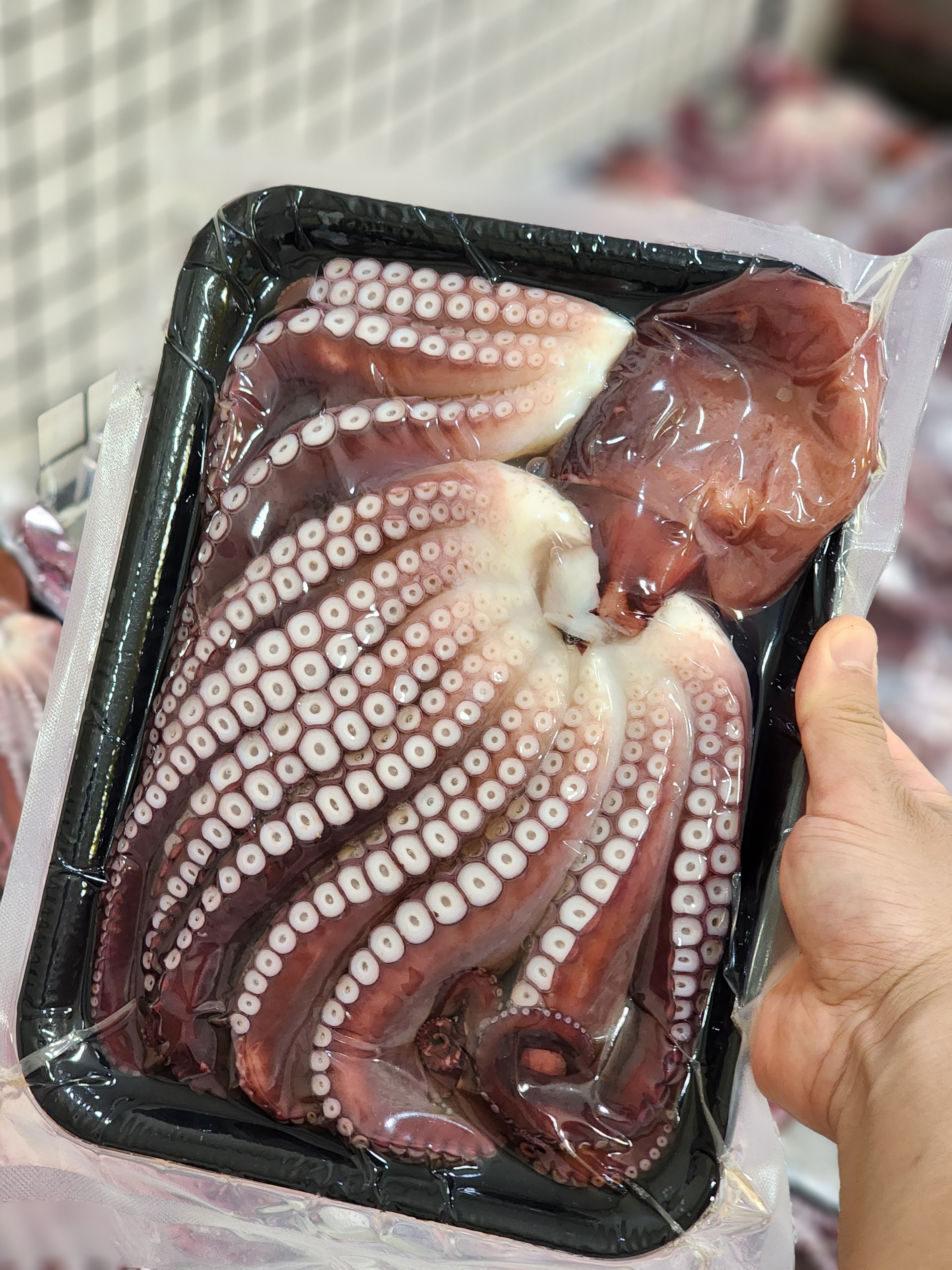 동해 삼척 피문어 도시락 대문어 숙회 자숙 문어 1kg - 상세 이미지 3