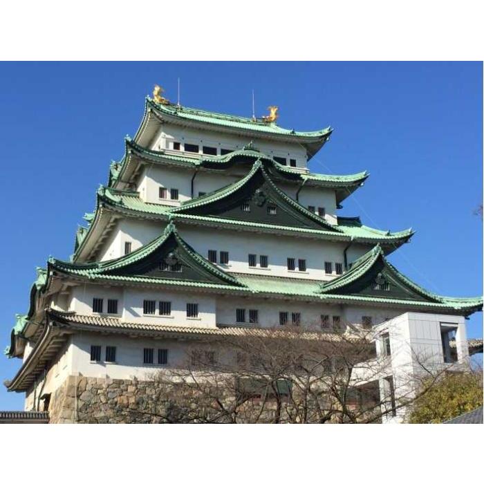 일본 나고야: 성 및 도요타 기념관 종일 투어 이미지 4