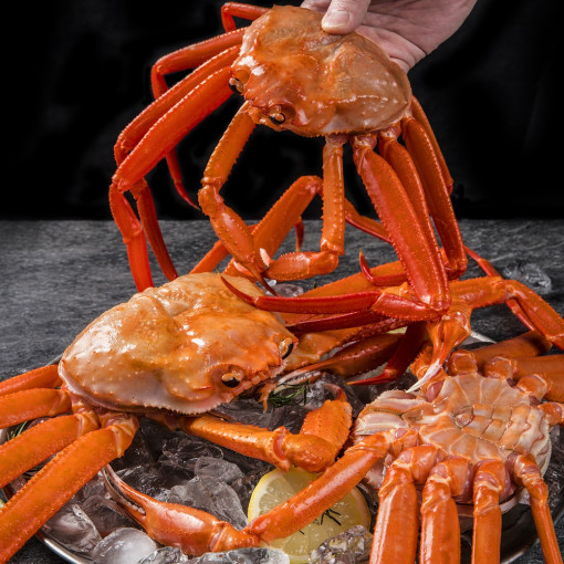 [속초직송] 프리미엄 속초홍게 2kg 1박스 / 7-9미 자숙홍게 냉동배송 이미지 8