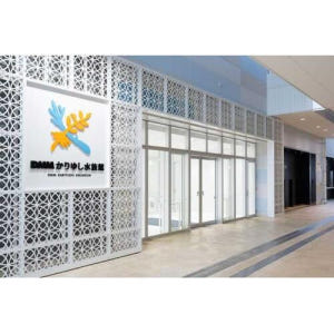 일본 오키나와 토미구스쿠: DMM 가리유시 수족관 입장권 솔직 후기 | 실사용자 리뷰 분석 - 상품 이미지 1