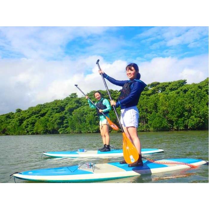 일본 오키나와 이시가키 섬: 2시간 동안의 미야라 강 카약 투어 이미지 4