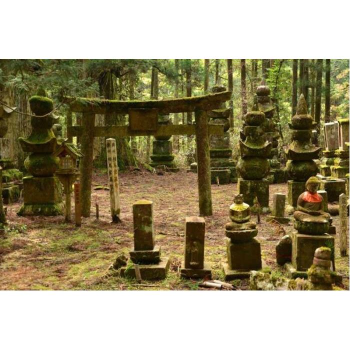 일본 와카야마: 현지 가이드와 함께하는 고야산 프라이빗 워킹 투어 이미지 4