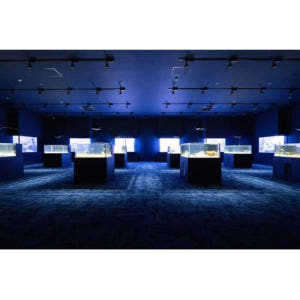 일본 오키나와 토미구스쿠: DMM 가리유시 수족관 입장권 솔직 후기 | 실사용자 리뷰 분석 - 상품 이미지 3