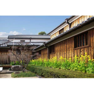 일본 고베: 나다 사케 양조장 지역 프라이빗 워킹 투어 솔직 후기 | 실사용자 리뷰 분석 - 상품 이미지 4