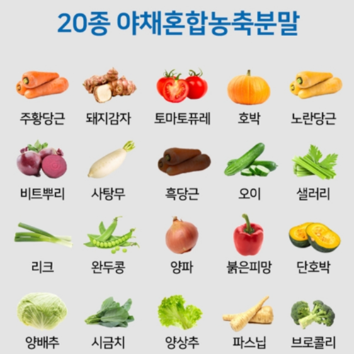 코오롱제약 4세대 프로바이오틱스 180정 x2세트 12개월 혼합 유산균 2000억 CFU 이미지 4