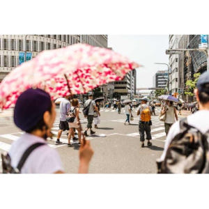 일본 고베: 현지 가이드와 함께하는 프라이빗 워킹 투어 솔직 후기 | 실사용자 리뷰 분석 - 상품 이미지 4