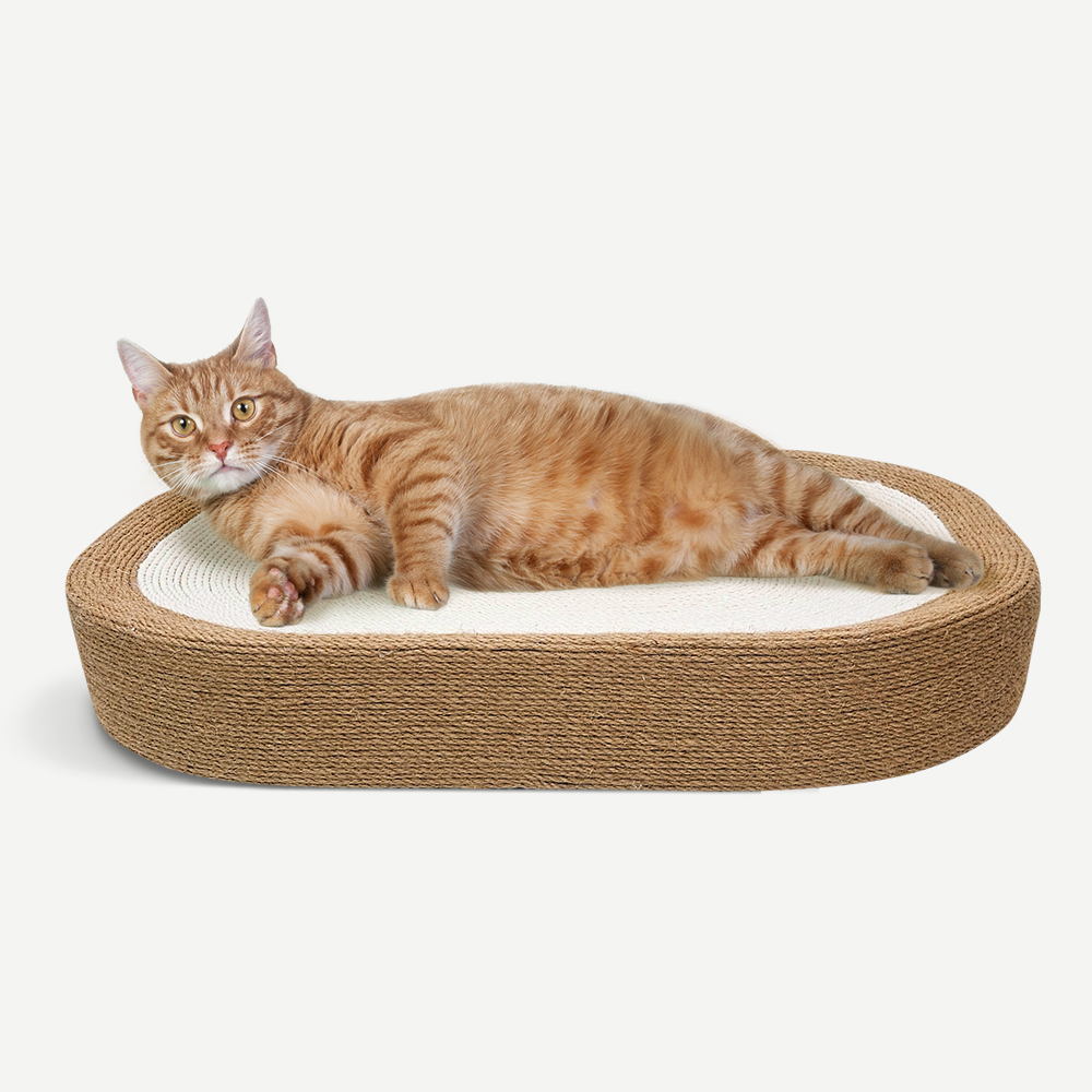 펫쭈 고양이 장난감 스크래쳐 침대 사이잘 쇼파 특대형 냥모나이트