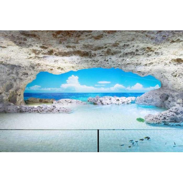 일본 오키나와 토미구스쿠: DMM 가리유시 수족관 입장권 이미지 2